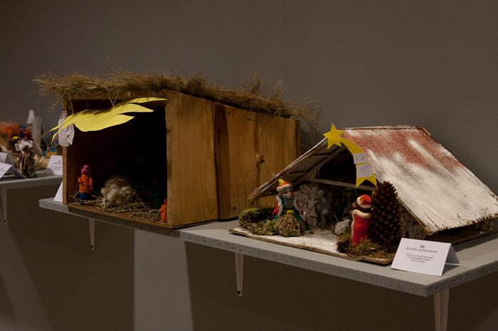 ZW2011 (57)